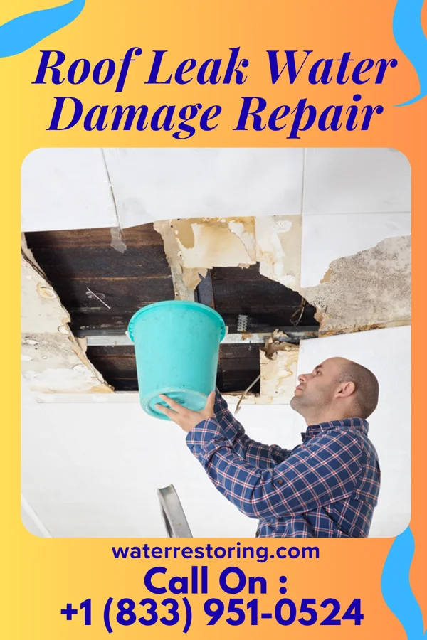 Roof Leak Water Damage Repair in Detroit, TX